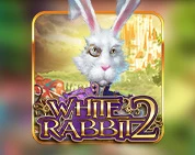 White Rabbit 2